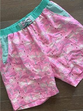 Matilda Jane Pink Flamingo Men’s Swim Trunks with Teal Waistband